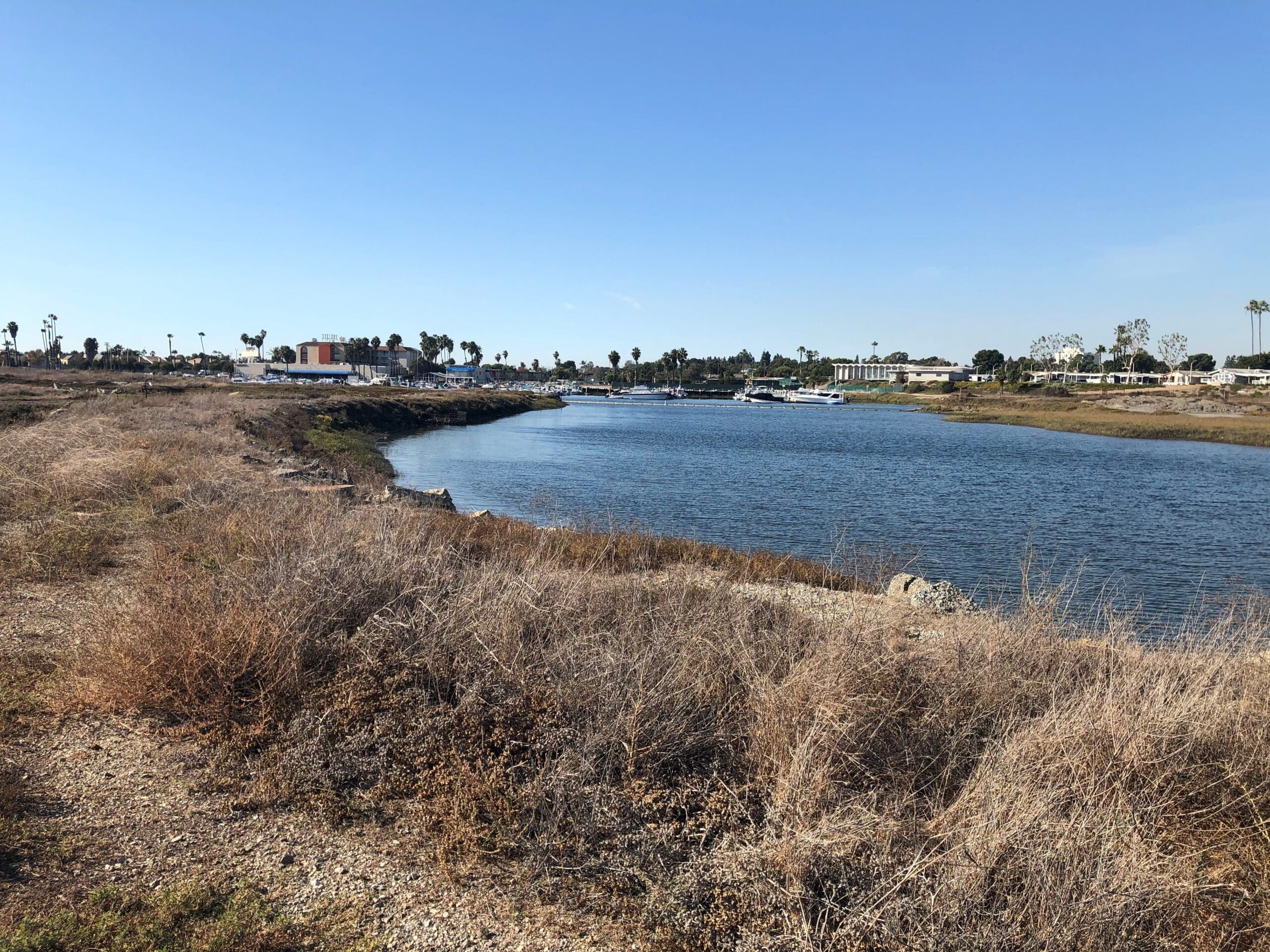 Los Cerridos Wetlands